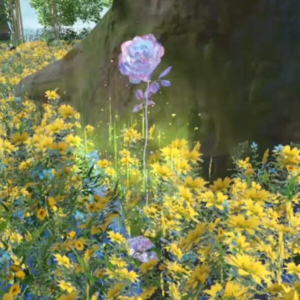 VRChat Sunlight World